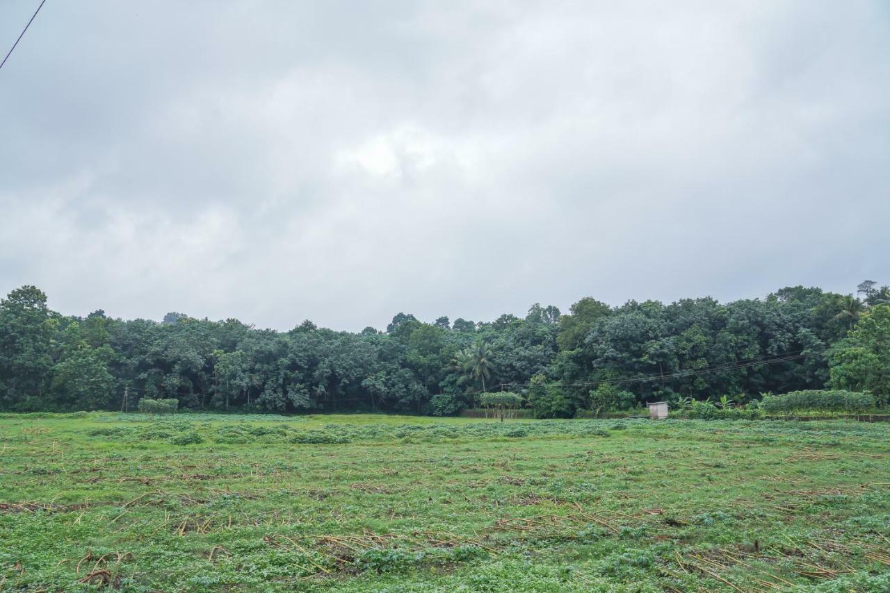 Thanal Premium Villa By - A Place To Call Your Home Muvattupuzha Bagian luar foto